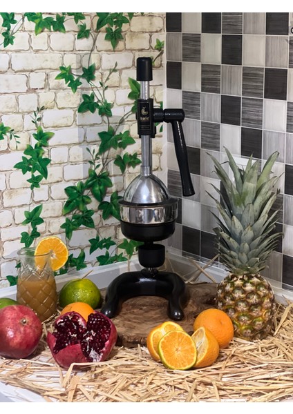 1706 Ay Taban Narenciye Sıkacağı