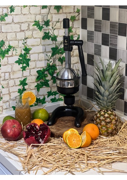 1706 Ay Taban Narenciye Sıkacağı fiyatları