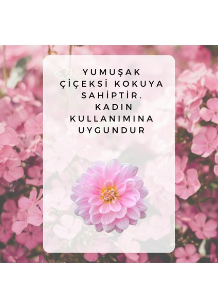 Alüminyum,Paraben ve Alkol İçermeyen Vegan Çiçeksi Kokulu Roll-on Deodorant 1 adet 50ml