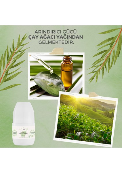Alüminyumsuz Parabensiz Vegan Unisex Temiz Kokulu Roll-on Deodorant 3lü Avantajlı Paket 50ml modelleri