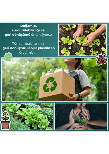 Alüminyumsuz Alkolsüz Parabensiz Vegan Çiçeksi Kokulu Roll-on Deodorant 3lü Avantajlı Paket 50ml