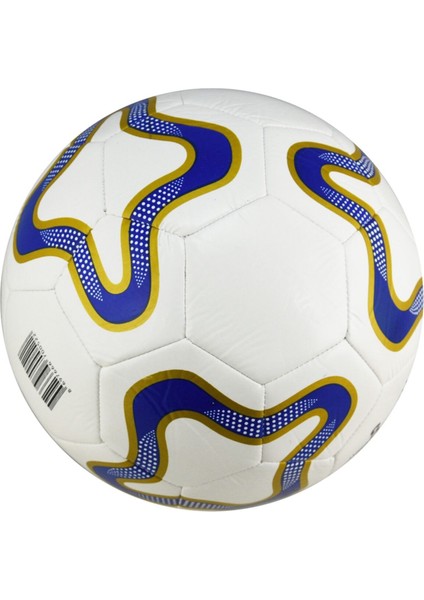 Target 4 No Futbol Topu modelleri