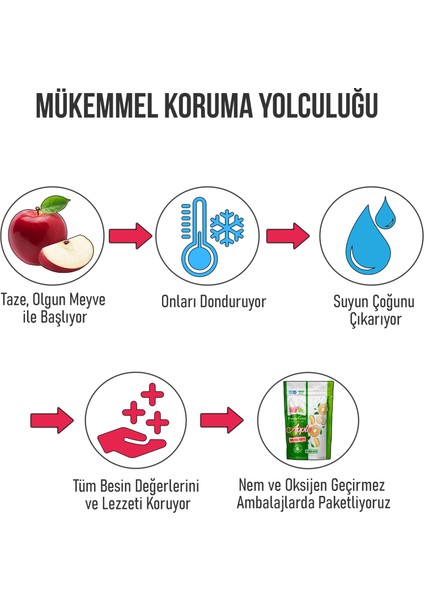 Freeze Dried Apple 15 gr Dondurularak Kurutulmuş Çıtır Elma Atıştırmalık 2 Adet