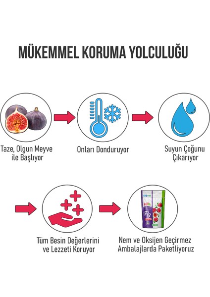 Freeze Dried Fig 25 Gram - Dondurularak Kurutulmuş Çıtır Incir Atıştırmalık 2 Adet indirimleri