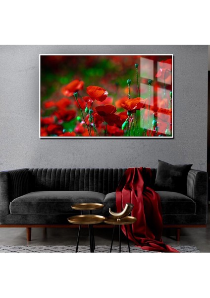 Yaz Manzaralı Kırmızı Gelincik Tarlası Modeli |Çerçeveli Temperli Cam Tablo Tekli Yatay