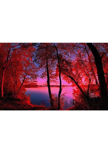 Sonbahar Manzaralı Kırmızı Orman Manzara 1|Çerçeveli Temperli Cam Tablo Tekli Yatay fiyatları
