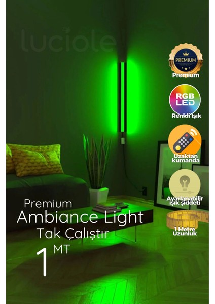 Uzaktan Kumandalı LED Lamba - Yatak Üstü, Tv Yanı ,oturma Odası - Rgb Çok Renkli LEDAP11