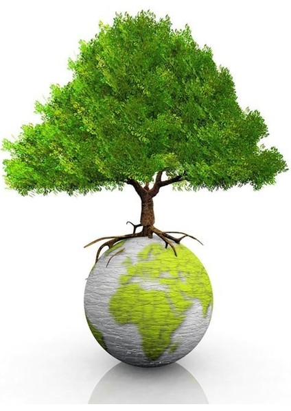 HP/Compaq Business 6930 Laptop Klavye Türkçe fırsatları