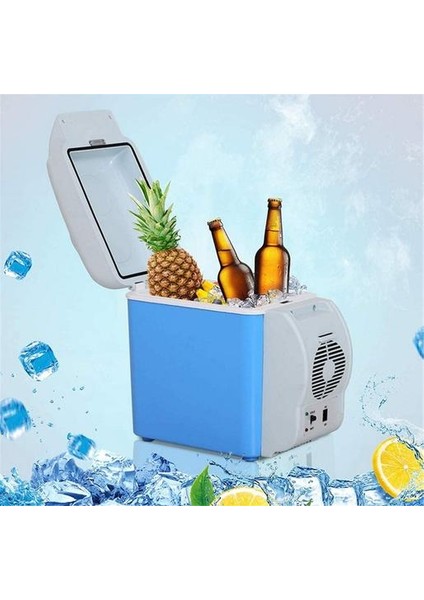 Taşınabilir Mini Araba Buzdolabı Dondurucu Soğutucu / Isıtıcı 12 V (Yurt Dışından) fırsatları