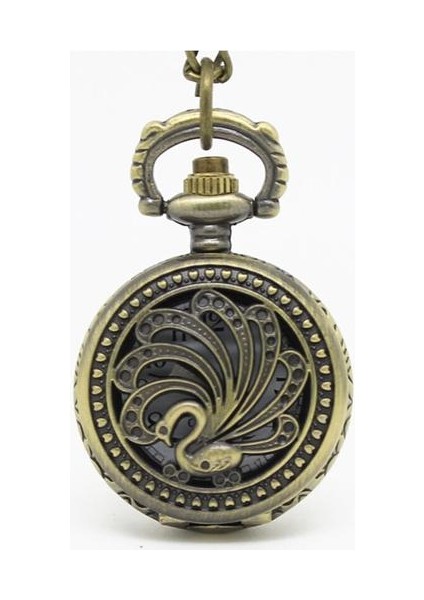 Mini Boyutu Steampunk Ağır Meta Bir Tavuskuşu Cebi Olarak Gururlu Kolye Kolye, Parti Hediyesi | Cep ve Amp;fob Saatler (Yurt Dışından)