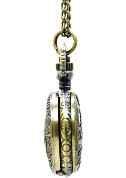 Mini Boyutu Steampunk Ağır Meta Bir Tavuskuşu Cebi Olarak Gururlu Kolye Kolye, Parti Hediyesi | Cep ve Amp;fob Saatler (Yurt Dışından)