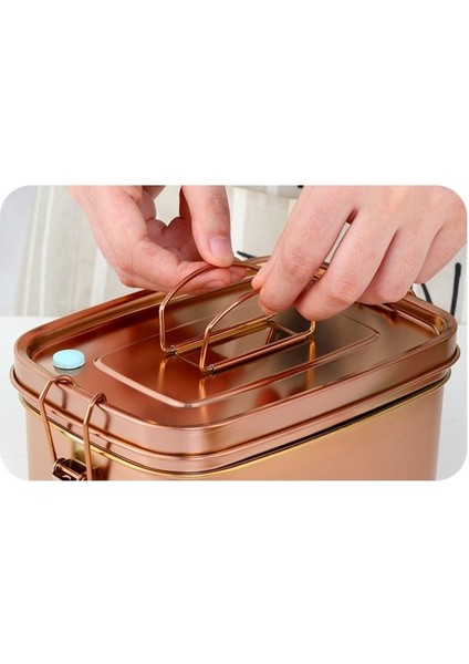 1.5l 304 Paslanmaz Çelik Öğle Yemeği Kutusu Çift Katmanlar Bento Gıda Konteyner Snack Depolama Termal Metal Kutusu Stok Stor Yemek | Öğle Yemeği Kutuları (Gül Altın) (Yurt Dışından)