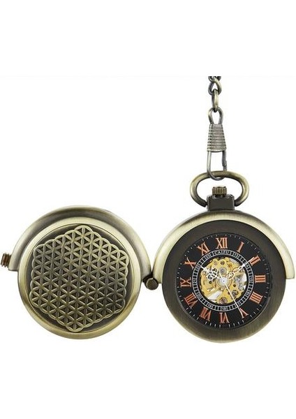 Antika Retro Hollow Kapak Çift Pikap Kapatma El Sarma Mekanik Cep Fob Izle Erkekler Steampunk Bronz Zinciri | Cep ve Amp;fob Saatler (Yurt Dışından)