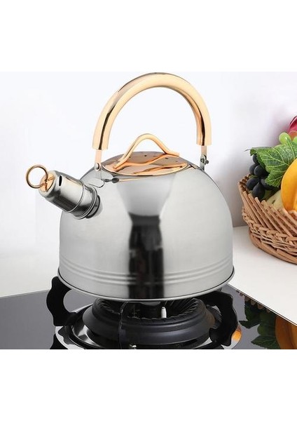 3l Paslanmaz Çelik Islık Çay Su Isıtıcısı Stipetoplar Emaye Gıda Sınıfı Çay Potu Isıya Dayanıklı Saplı Gaz Indüksiyonlu Ocaklar | Su Isıtıcılar (Yurt Dışından) fiyatları