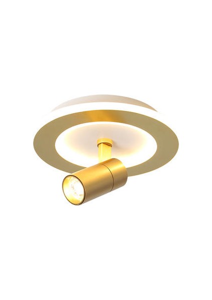 LED Circular Ceiling Light With Spotlights, 20W Cold White Light, Luxurious Gold Ceiling Light For Living Rooms, Bedrooms (Yurt Dışından)