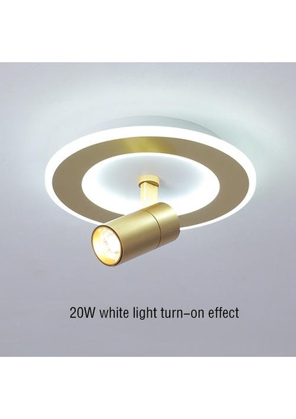 LED Circular Ceiling Light With Spotlights, 20W Cold White Light, Luxurious Gold Ceiling Light For Living Rooms, Bedrooms (Yurt Dışından)