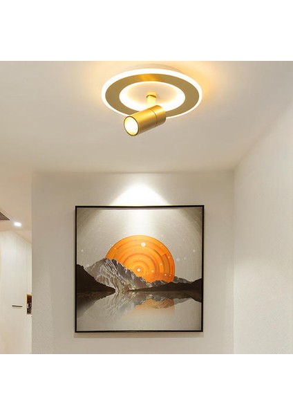 LED Circular Ceiling Light With Spotlights, 20W Cold White Light, Luxurious Gold Ceiling Light For Living Rooms, Bedrooms (Yurt Dışından)