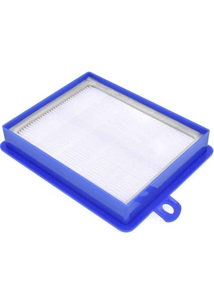 PakTrade Filtro HEPA per Aspirapolvere AEG Electrolux