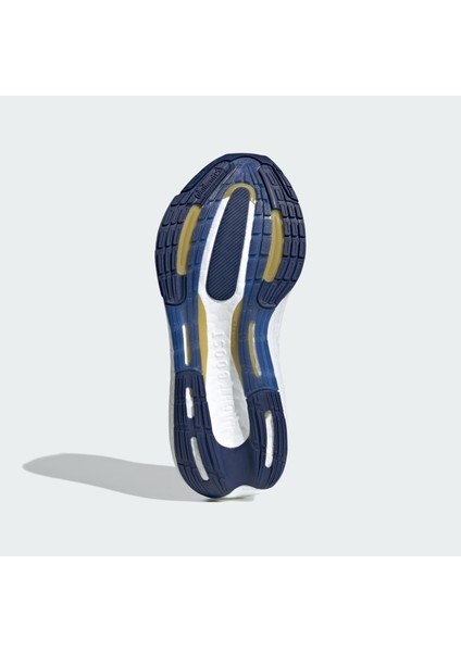 Performance ID3321 Ultraboost Light Ayakkabı