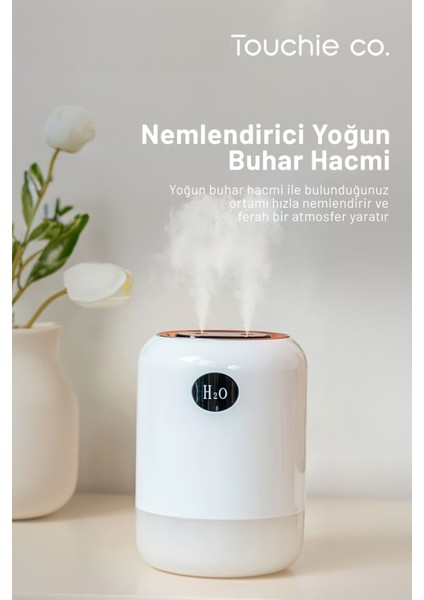 Co. Hava Nemlendirici 700 ml Ultrasonik Buhar Makinesi | Aroma Difüzörü Aroma Terapi Toc 1003 modelleri