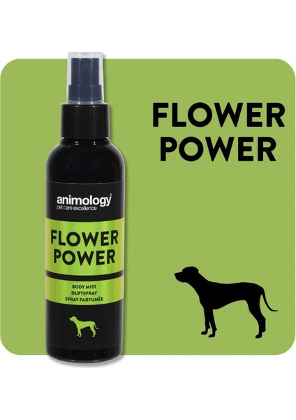 Animology Flower Power Fragrance Mist Kedi Köpek Parfümü 150 mL - Çiçeksi Notalı, Unisex, Vegan