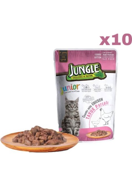 Pouch Tavuklu Yavru Kedi Maması 10 Adet (1X100GR)
