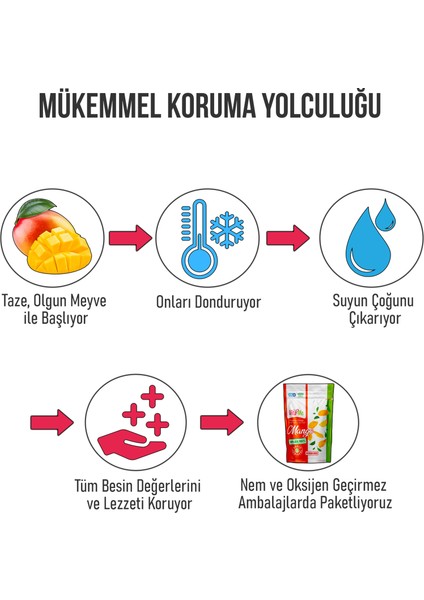 Freeze Dried Mango 20 Gram - Dondurularak Kurutulmuş Çıtır Mango Atıştırmalık 3 Adet indirimleri