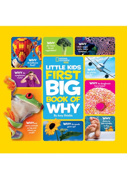 National Geographic Little Kids First Big Book Of Why