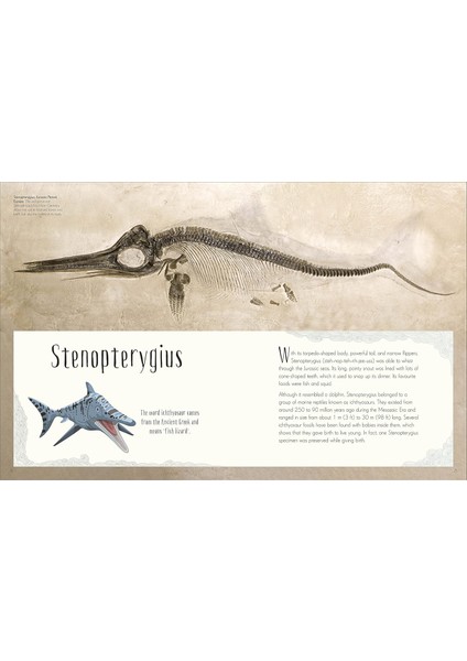 Dinosaurs And Other Prehistoric Life indirimleri