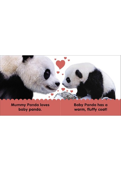 Baby Touch And Feel Panda fiyatları