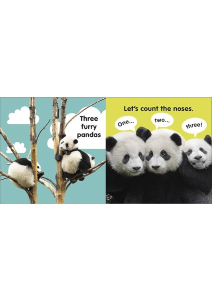 Baby Touch And Feel Panda modelleri