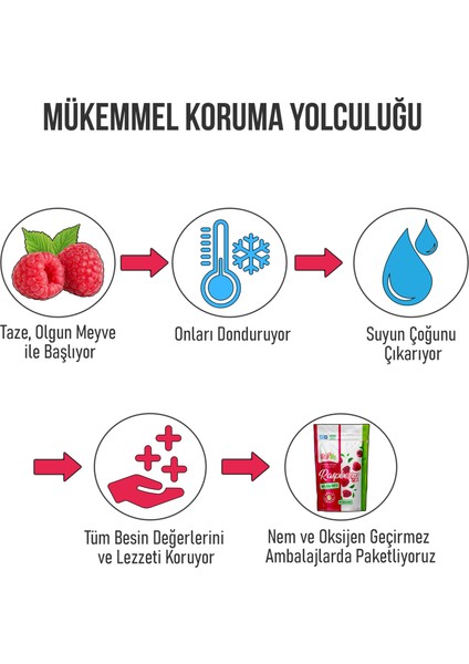 Freeze Dried Raspberry 15 gr Dondurularak Kurutulmuş Çıtır Frambuaz Atıştırmalık 5 Adet