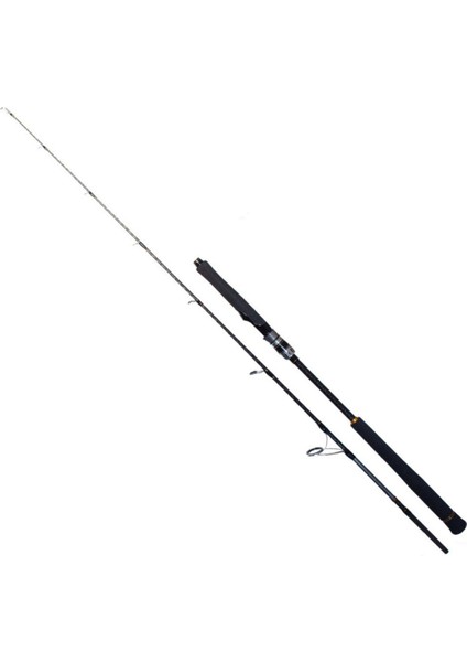 Ryujı Seawolf 1,83 200-400GR Jıg Kamış
