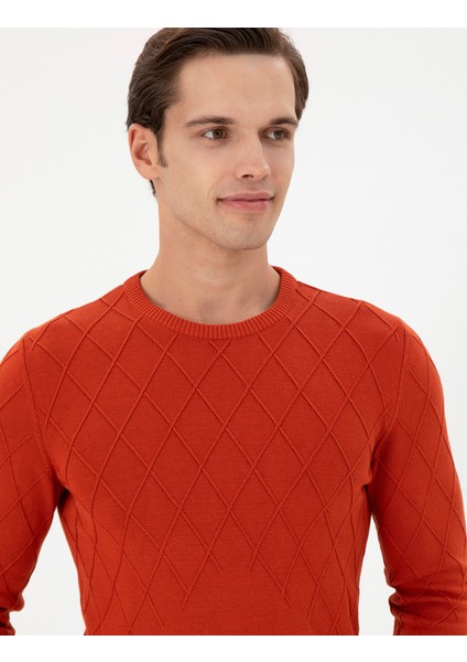 Erkek Kiremit Kazak /Triko 50292863-VR031 fiyatları