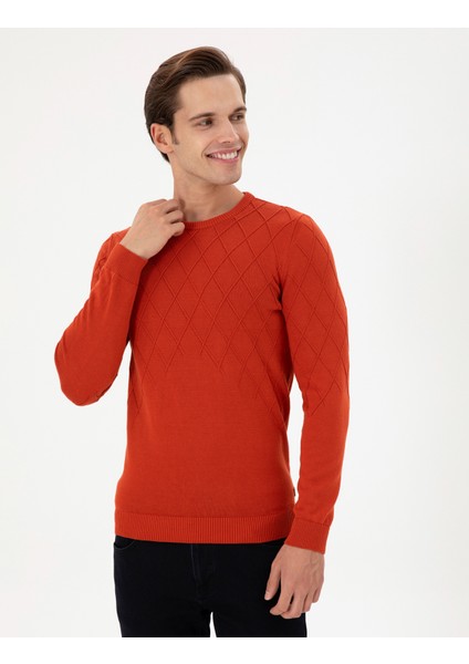 Erkek Kiremit Kazak /Triko 50292863-VR031 modelleri