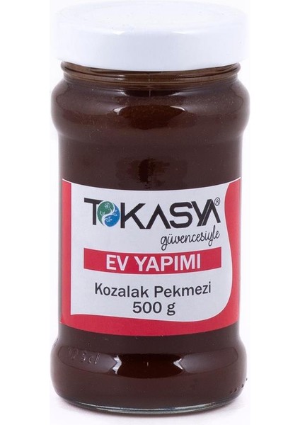 Ev Yapımı Kozalak Pekmezi 500 gr