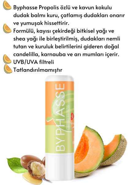 Kavun Aromalı Nemlendirici Dudak Bakım Kremi 4.8 Gr