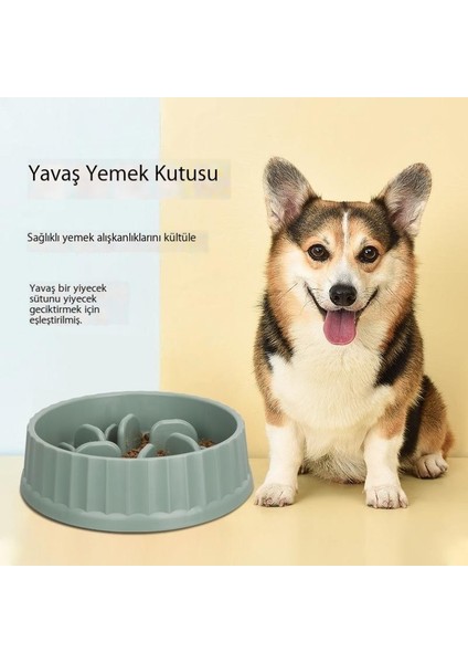 Evcil Hayvan Maması Eşyaları Yavaş Yemek Kasesi Evcil Köpek Kasesi Kalınlaşmış Kaymaz Yavaş Yemek Sütunu Anti-Yutma Kasesi (Yurt Dışından) modelleri