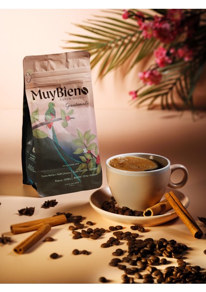 Muybieno Guatemala Huehuetenango Çekirdek Kahve