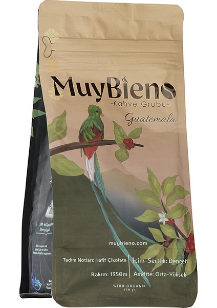 Muybieno Guatemala Huehuetenango Çekirdek Kahve fiyatları