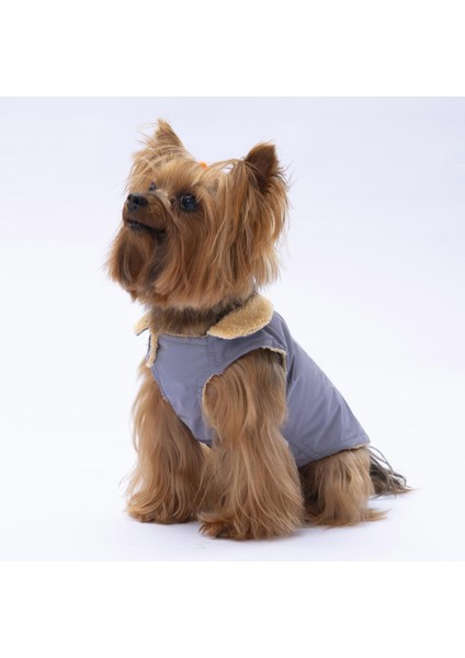 Gri Yukon Yelek Köpek Yeleği