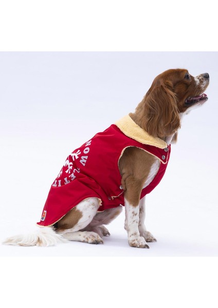 Kırmızı Yukon Yelek Köpek Yeleği Köpek Kıyafeti Köpek Yağmurluk modelleri