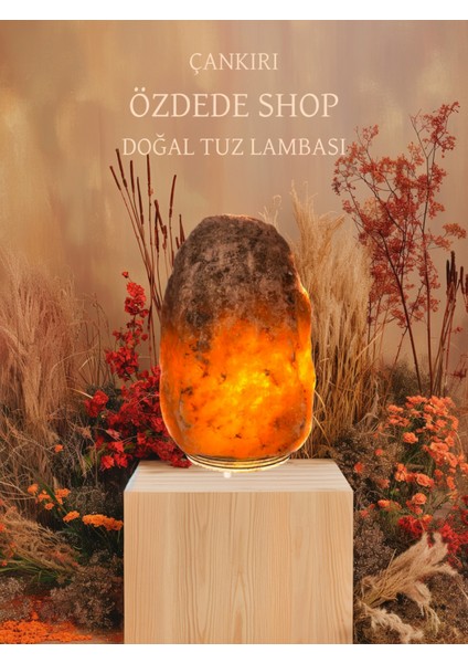 Özdede Shop Çankırı Kaya Tuzu Lambası 2-3 kg fiyatları