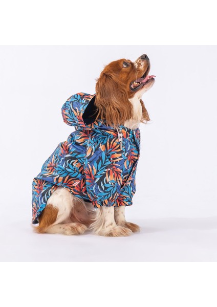 Autumna Polarlı Su Geçirmez Küçük Irk Köpek Yağmurluğu fiyatları