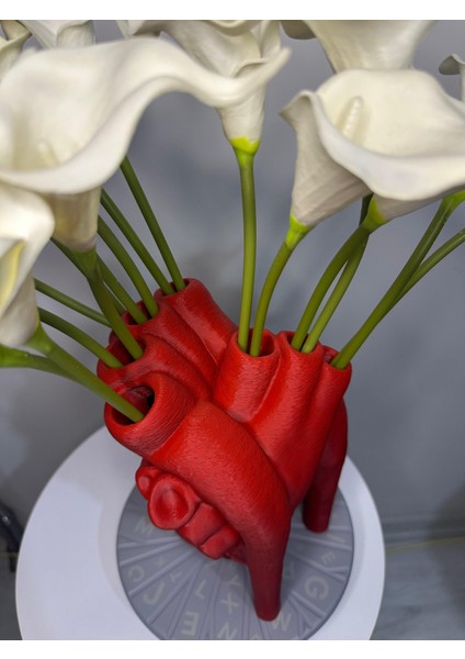 Nk Ateiler Gerçekçi Anatomik Kalpli Vazo 23CM