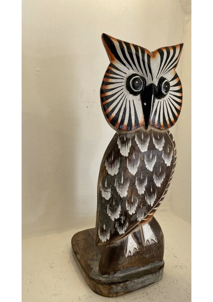 Ahşap Baykuş Kağıt Havluluk fırsatları