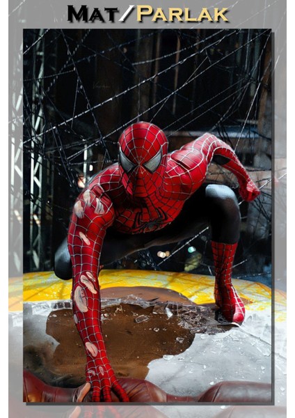 Tobey Spider Man Örümcek Adam 3 Savaş Film Posteri Baskı