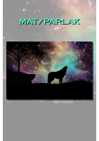 Uluyan Kurt Hayvan Posteri Baskı