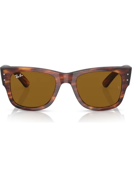 RB0840S 954/33 51 Unisex Güneş Gözlüğü fırsatları