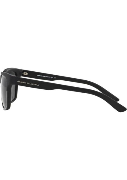 AX4026S 812287 56 Unisex Güneş Gözlüğü